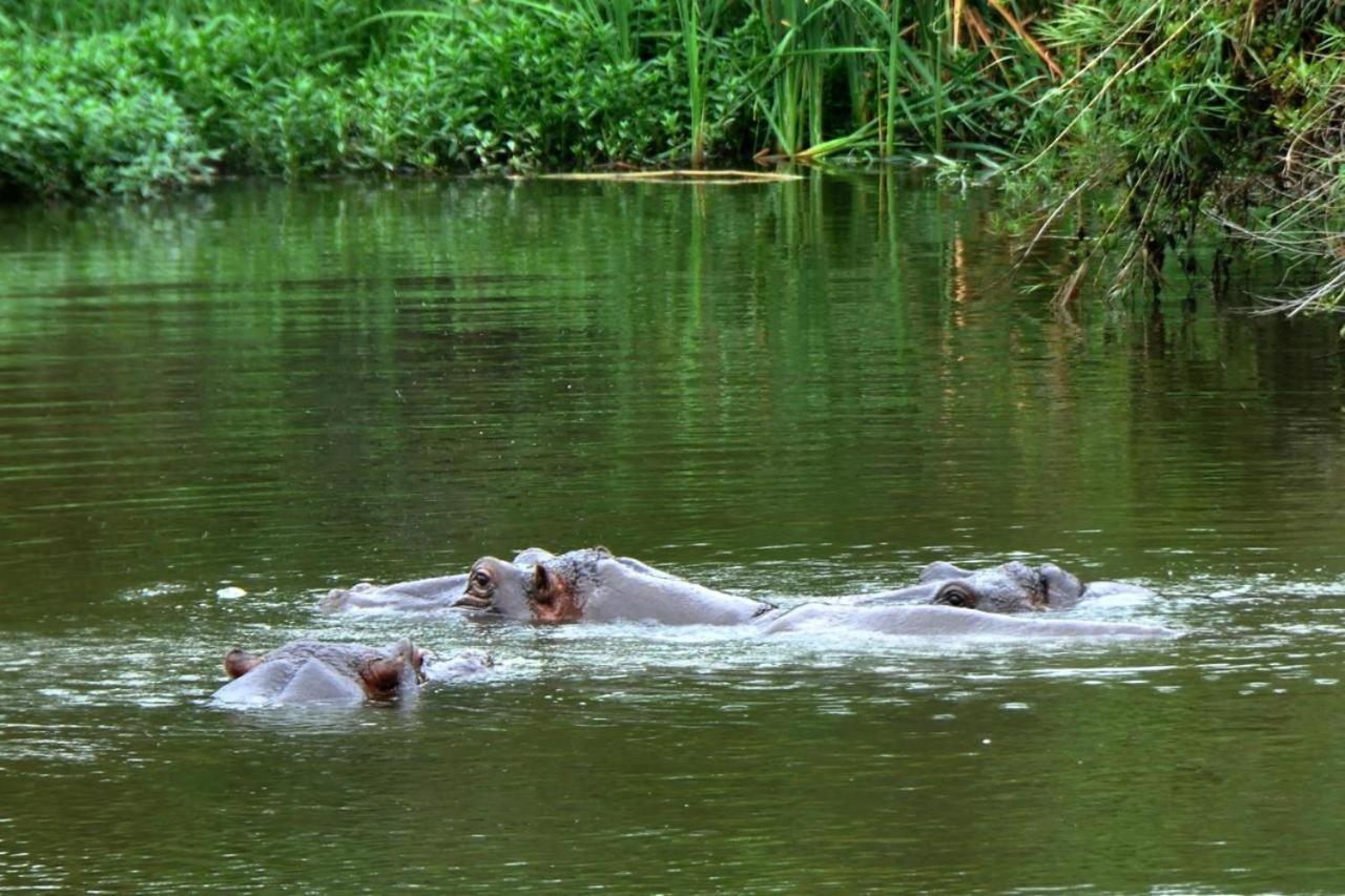 Legend Safaris - Kruger Park 257b Hazyview