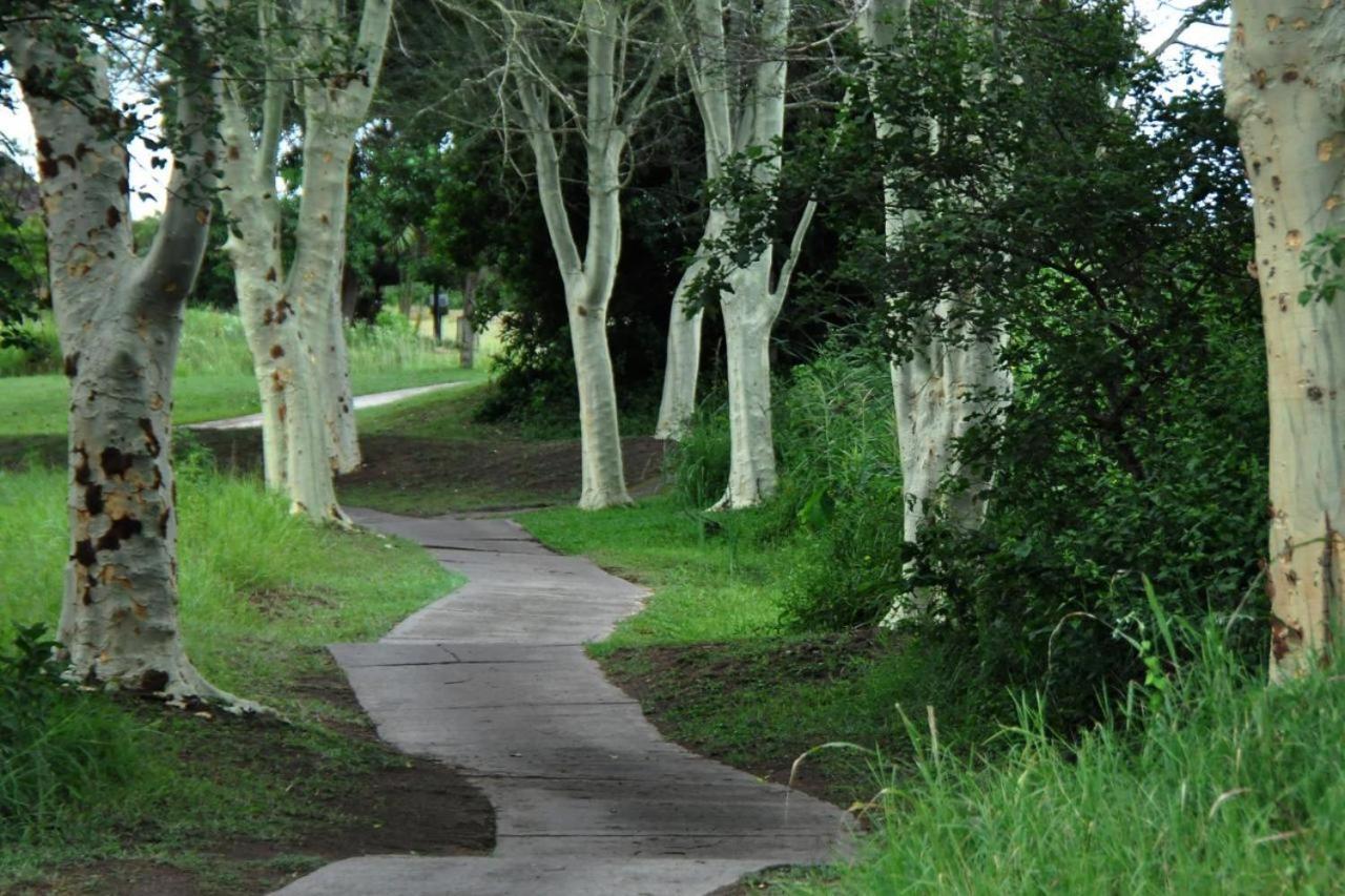 Legend Safaris - Kruger Park 257b